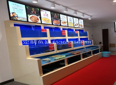 酒店饭店鱼缸